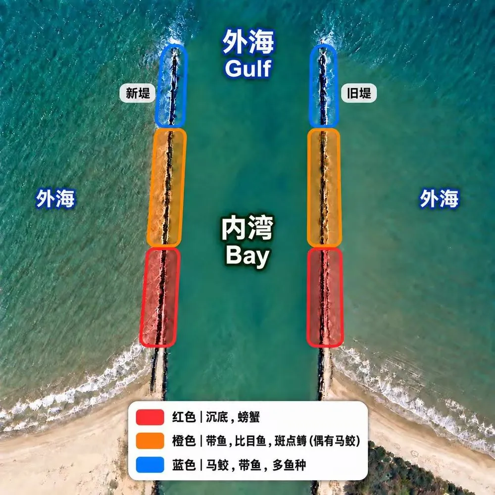 288 新堤和旧堤分区图：红色靠岸段沉底、螃蟹；橙色中段带鱼、比目鱼、斑点鳟，偶有马鲛；蓝色堤头马鲛、带鱼、多鱼种